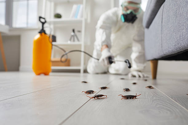 Commercial Kitchen Cockroach Control in Sharpsburg